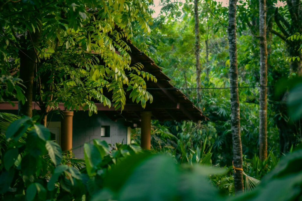 Coorg in June, rainy season