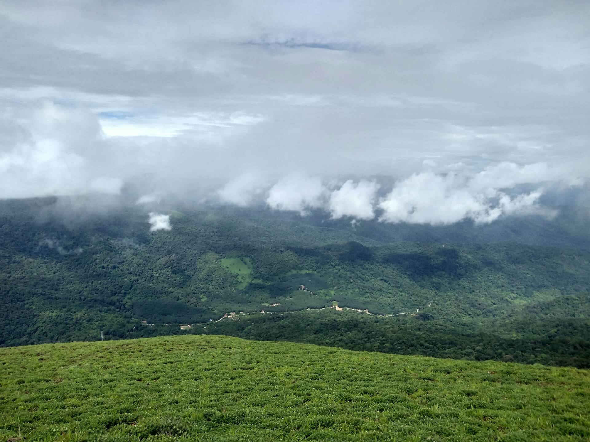 You are currently viewing Best Time to Visit Coorg: Month-by-Month Guide